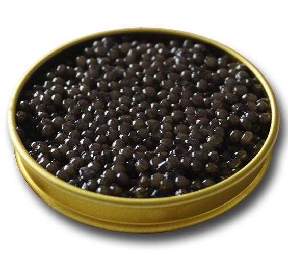 Beluga Caviar – Attilus Kaviar