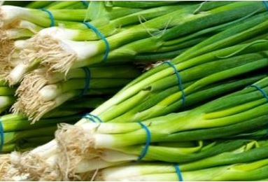 Scallions Green Onions 6 – FreshMega