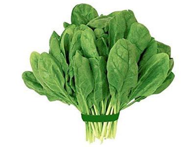 Buy Certified Organic Spinach Online|Fresh &amp; Leafy Vegetable|Orgpick