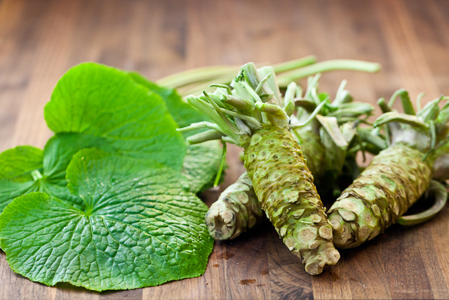Wasabi: the hardest plant to grow in the world | Spoon &amp; Tamago